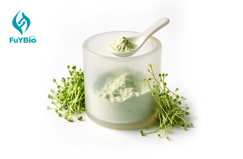 Broccoli Sprout Plant Extract
